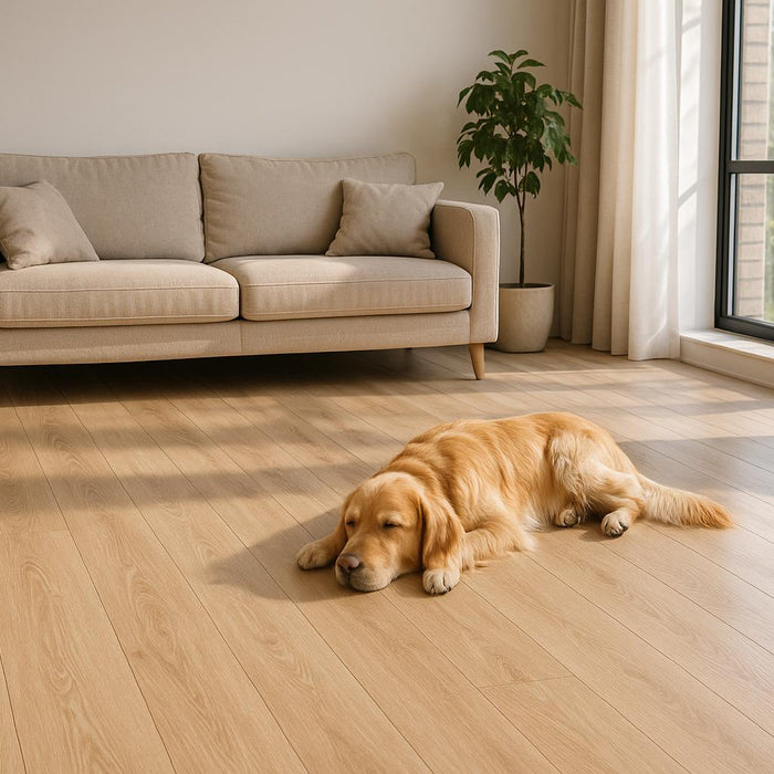Best Pet-Friendly Laminate Floors in Fremont