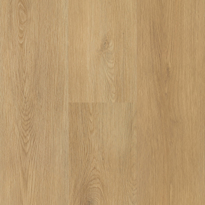 Next Floor - Sunrise Oak - Vinyl Floors 