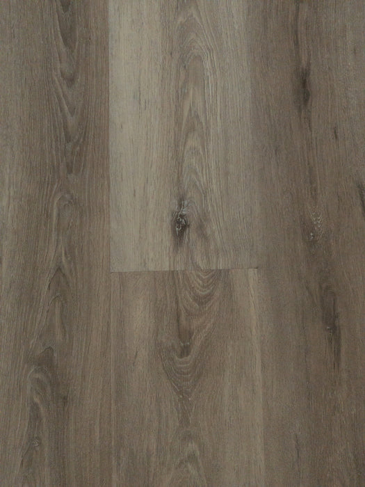 Medallion - Masters Taupe - SPC Floors 