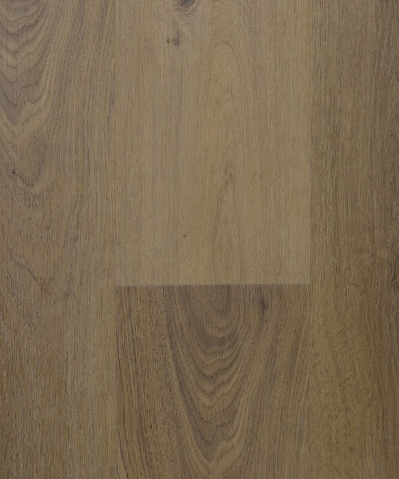 Medallion - European Oak - SPC Floors 