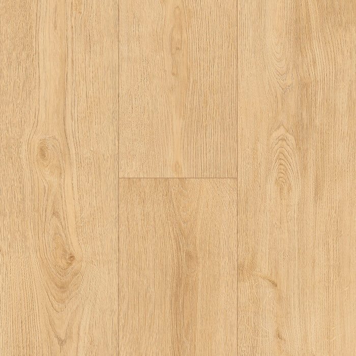 Inhaus Flooring - Norgate - Vinyl Floors 