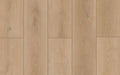 Lions Floor - Forest Timber - SPC Floors 