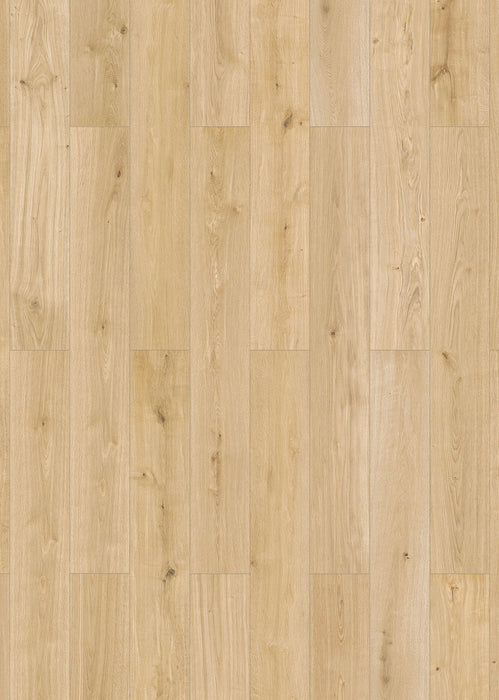 Inhaus Flooring - Gilmour - Vinyl Floors 