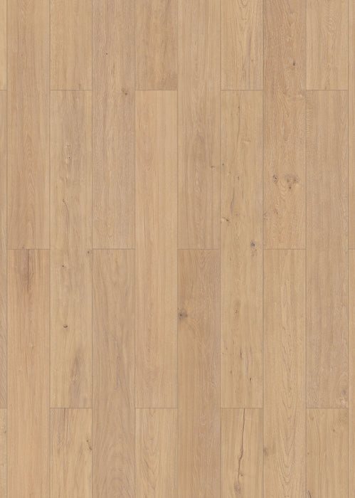 Inhaus Flooring - Sutter - Vinyl Floors 