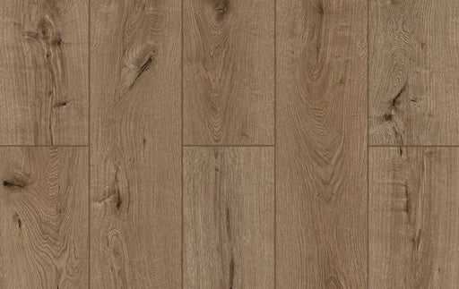 Lions Floor - Forgotten Bark - SPC Floors 