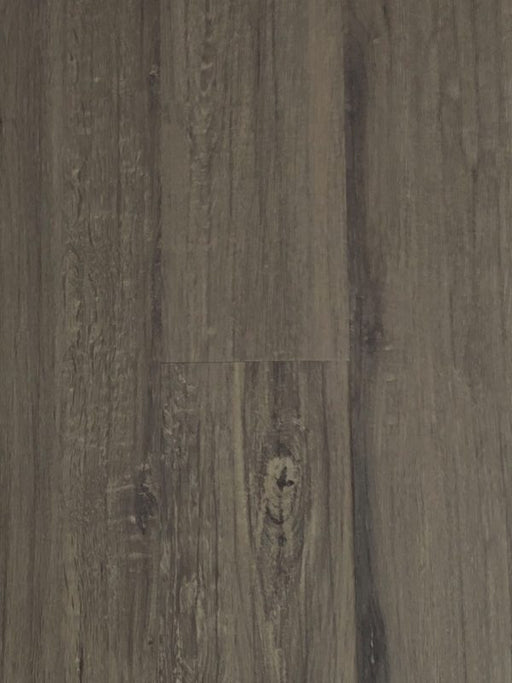 Medallion - Greystone - LVT Floors 