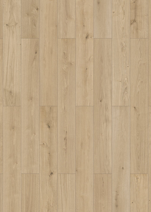 Inhaus Flooring - Urban - Vinyl Floors 