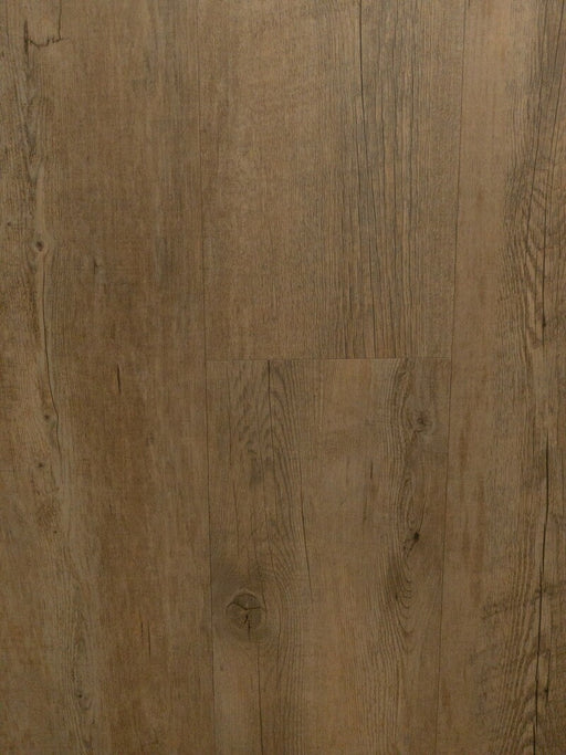Medallion - Driftwood - LVT Floors 