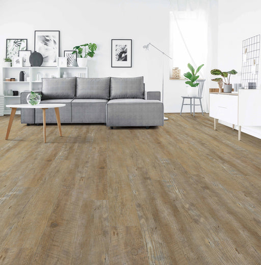 Next Floor - Settlement Pine - LVT Floors 