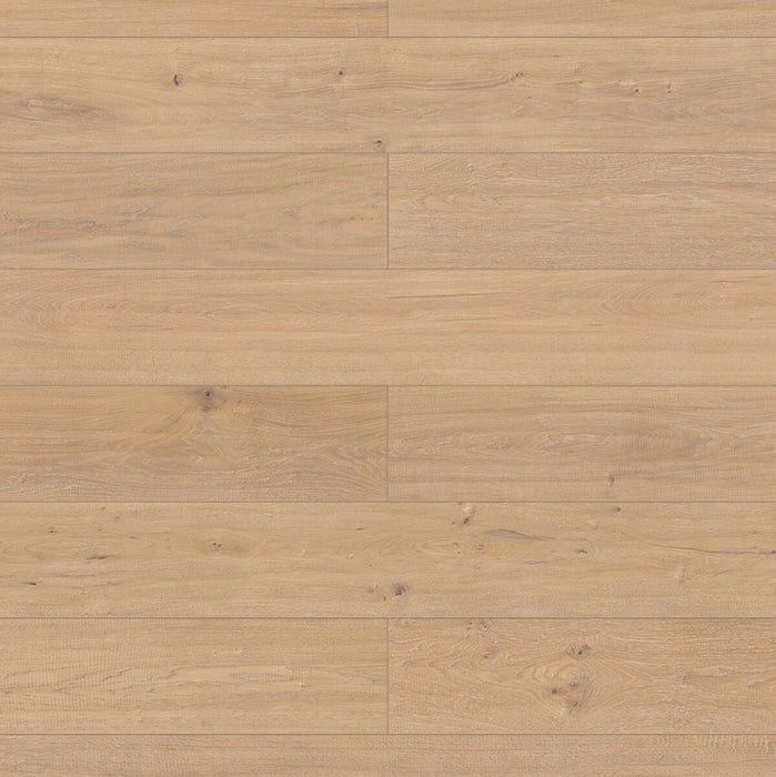 Inhaus Flooring - Sutter - Vinyl Floors 