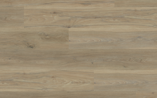 Lions Floor - Palisade - SPC Floors 