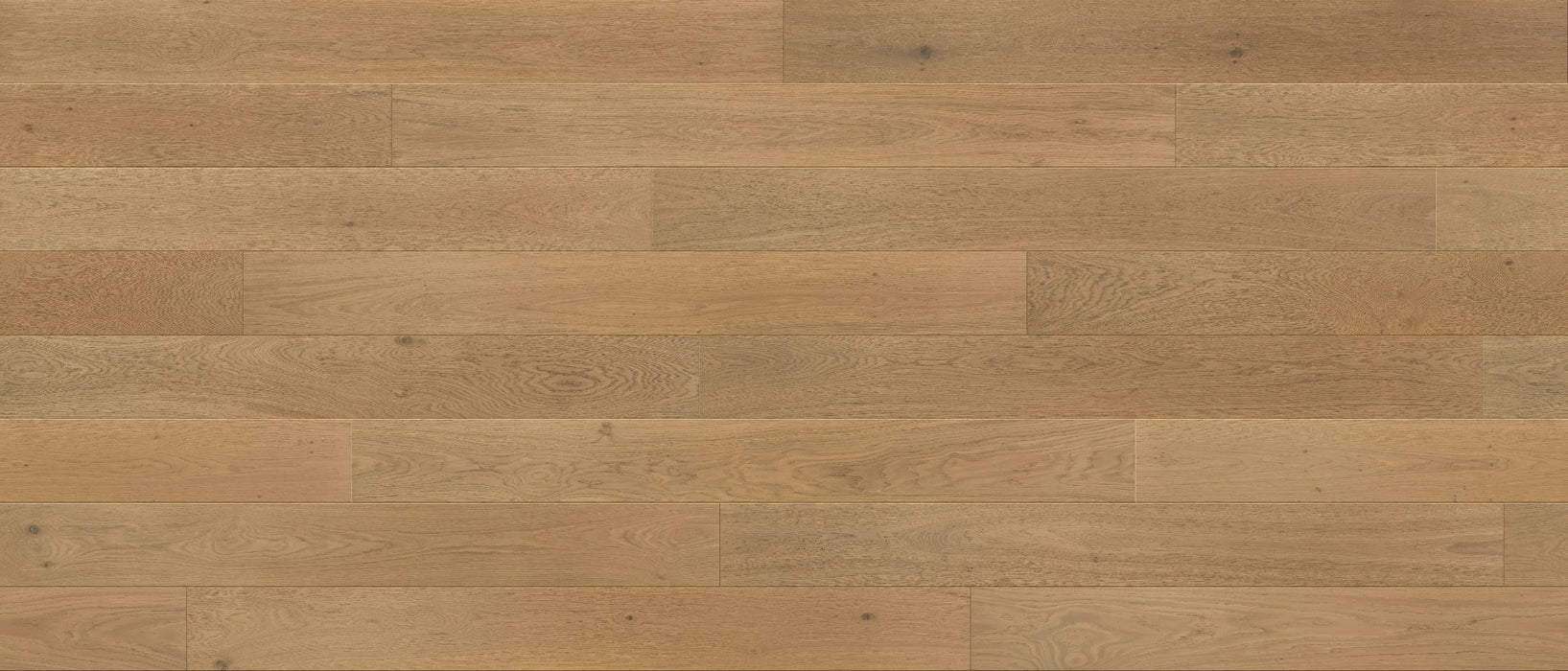 Compass Materials - Nova (304） - Engineered Hardwood Floors 