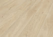 Inhaus Flooring - Riverway - Vinyl Floors 