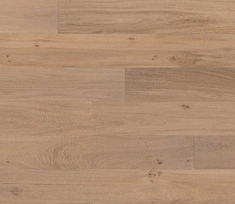 Panaget - French oak Tradition Cafe creme, Alto 139x1210 - Engineered Hardwood Floors 