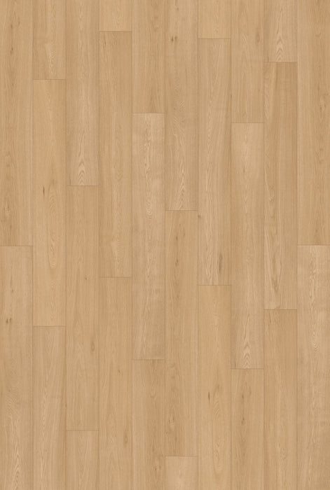 Inhaus Flooring - Lansdowne - Vinyl Floors 