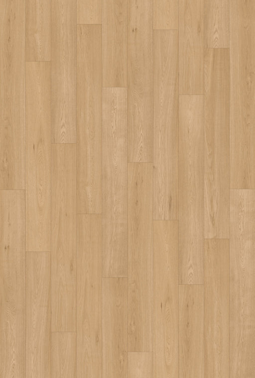 Inhaus Flooring - Lansdowne - Vinyl Floors 