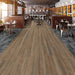 Next Floor - Created Equal - LVT Floors 