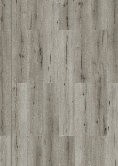 Inhaus Flooring - Cassini - Laminate Floors 