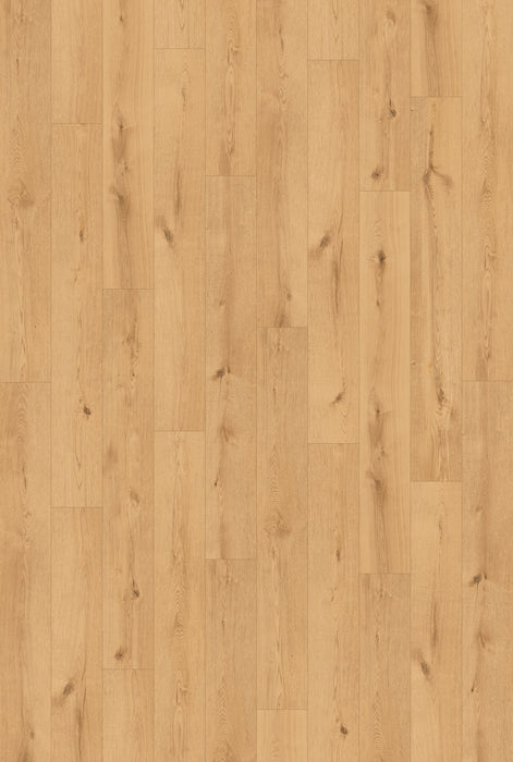 Inhaus Flooring - Hollyburn - Vinyl Floors 