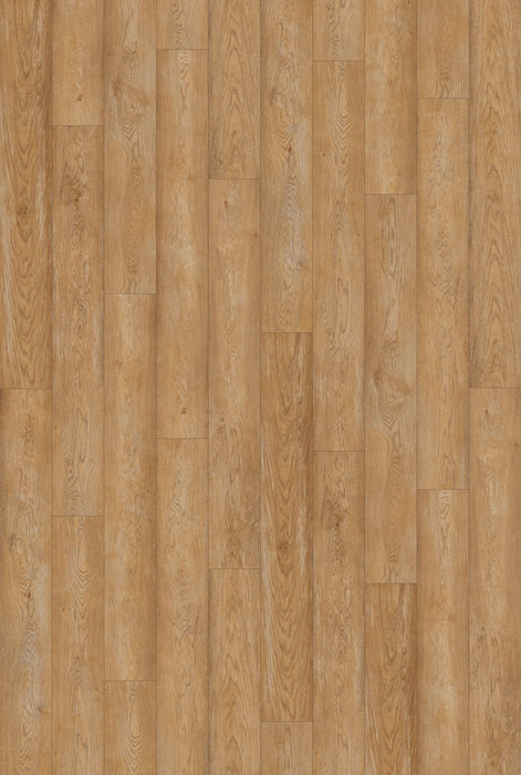 Inhaus Flooring - Brassneck - Vinyl Floors 