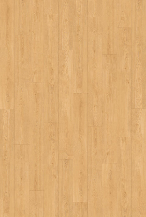 Inhaus Flooring - Sterling - Vinyl Floors 