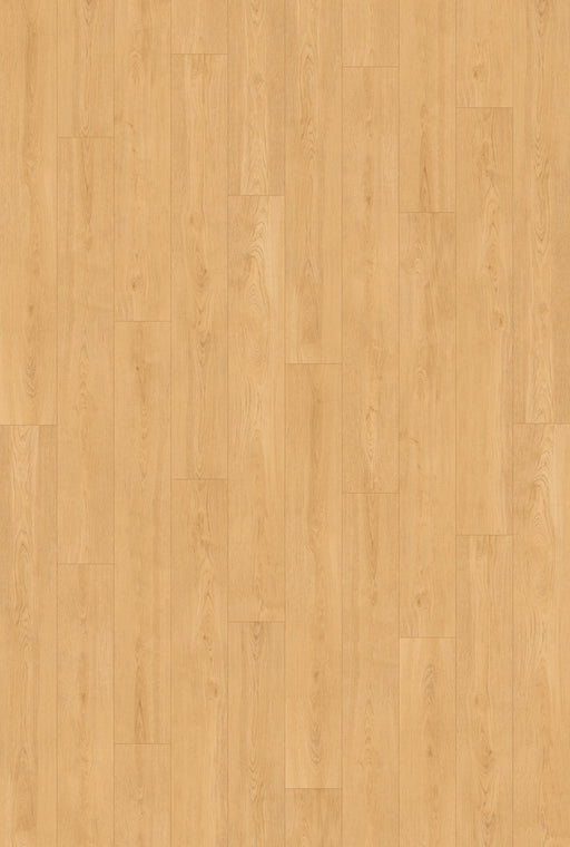 Inhaus Flooring - Sterling - Vinyl Floors 