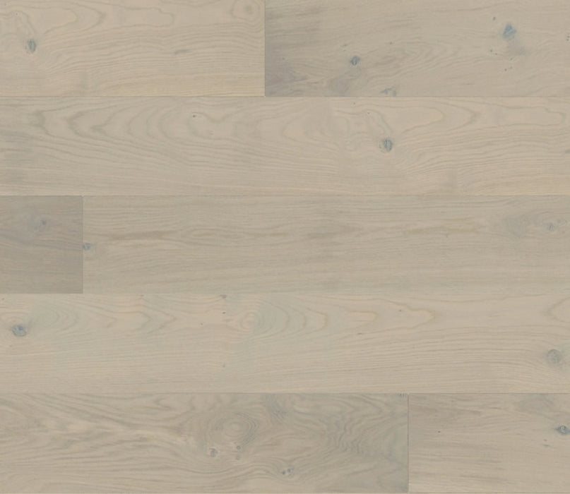 Panaget - French oak Zenitude Grey oil, Diva 184 - Engineered Hardwood Floors 