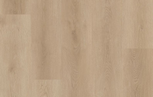 Lions Floor - Chesterbrook - LVP Floors 