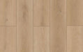 Lions Floor - Forest Timber - SPC Floors 