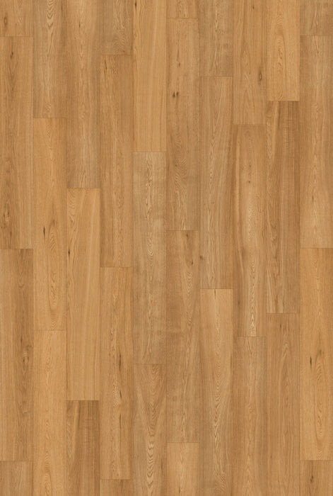 Inhaus Flooring - Langara - Vinyl Floors 