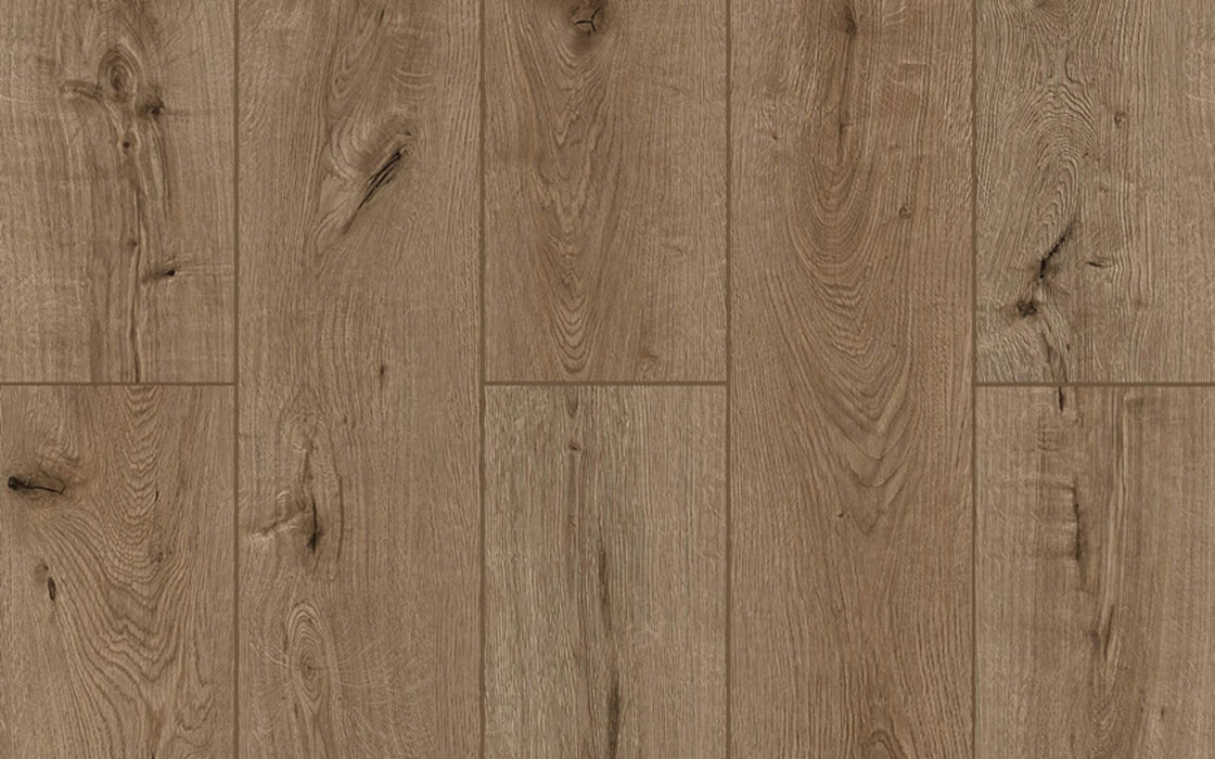 Lions Floor - Forgotten Bark - SPC Floors 